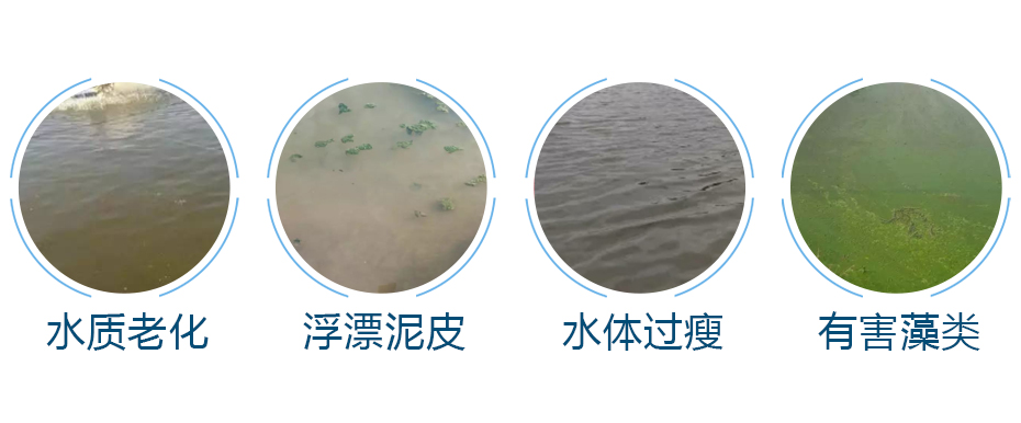 水產(chǎn)養(yǎng)殖中的常見問題