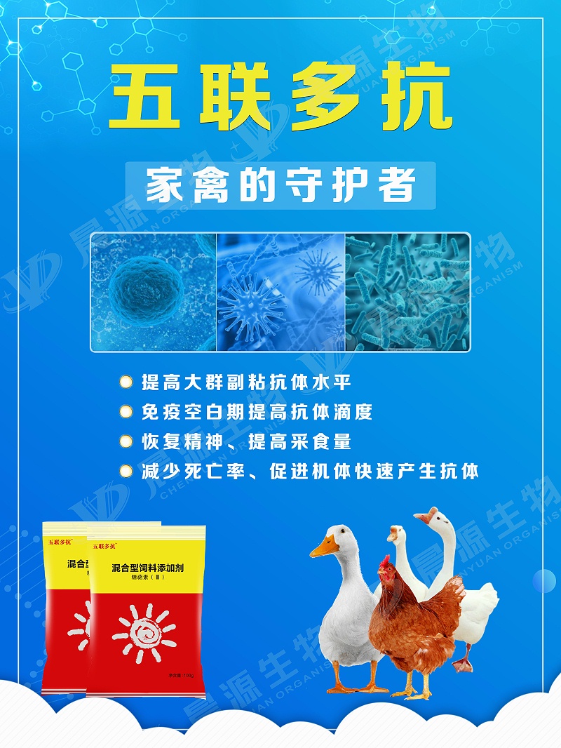五聯多抗2(1)