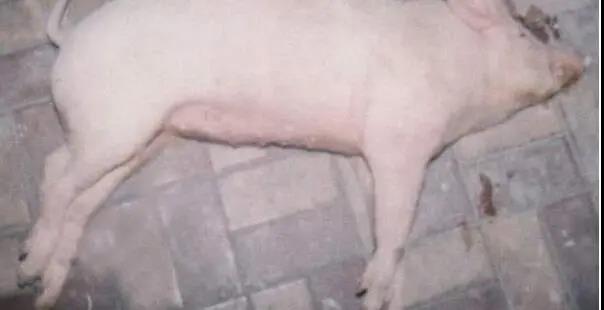 微信圖片_20210512170156