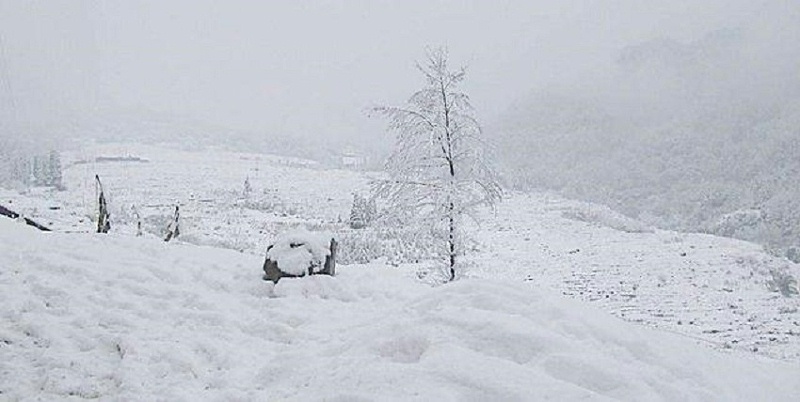 大雪天氣，養(yǎng)殖戶該儲備飼料添加劑啦