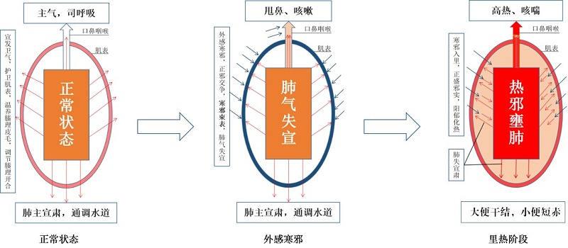 雞呼吸道發(fā)病的原理