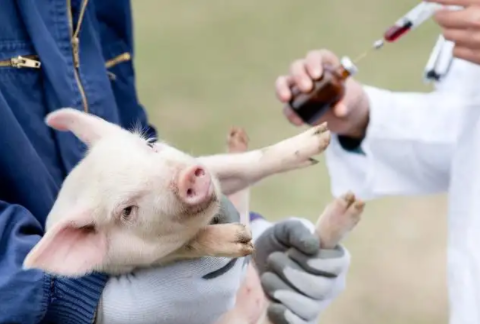 184d936b7b52b65f24ac7dba1a76695 184d936b7b52b65f24ac7dba1a76695