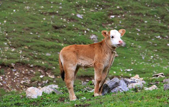 微信截圖_20220331163913