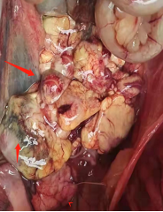 微信圖片_202204071510031