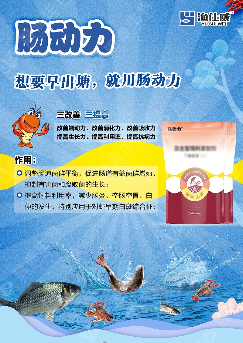 腸動(dòng)力