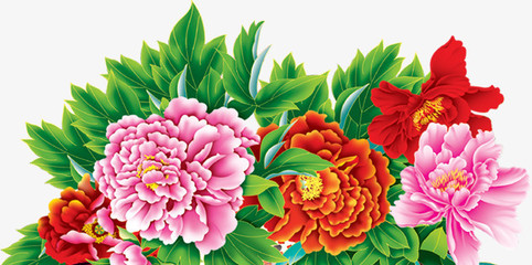 牡丹花開富貴圖 免費高清PNG素材，點綴你的創意設計